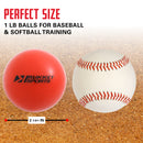 PUREPOWER® Baseball / Softball Weighted Hitting & Pitching Training Balls (3 or 9 Pack)